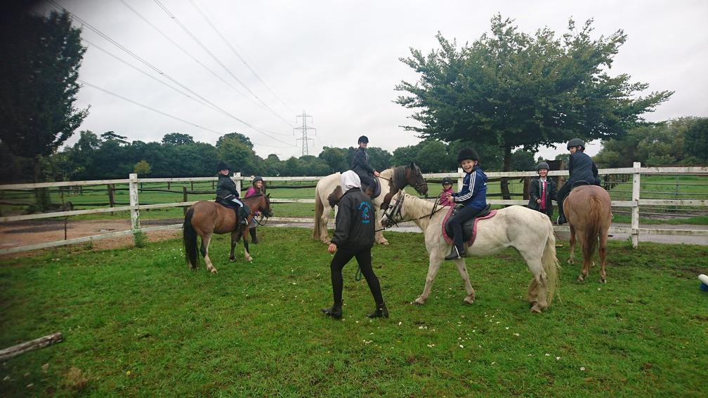 Pony Parties Holly Bush Stables Pony Horse Club Livery Byfleet Surrey Byfleet Surrey Livery Services gallery image 14